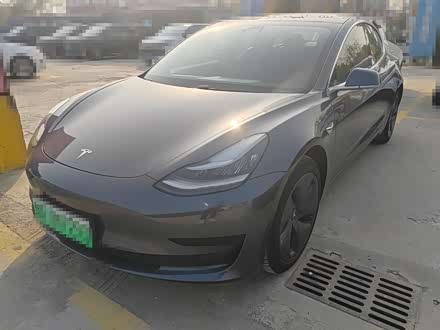 Model 3 2020 (bio)(zhn)m(x)(q)