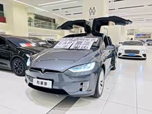 Model X 2020款 長續(xù)航升級版