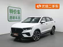 T77 2019 230 TID Զ V