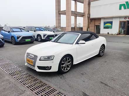 ְµ µA5() 2010 2.0TFSI Cabriolet