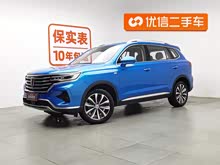 sRX5 MAX 2019 300TGI ԄœA