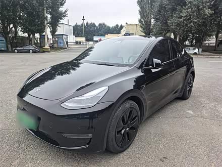 ֶ˹ Model Y 2021 ׼