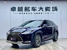 ׿_˹RX 2020 Ŀ 300 (q)Ӣ