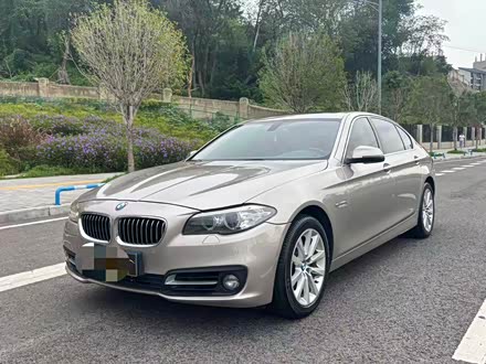 5ϵ 2014 530Li 