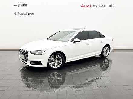 �µ�A4L 2019�� 35 TFSI ��ȡ�� ��V