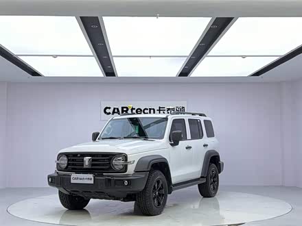 Ϋ̹ ̹300 2023 ԽҰ 2.0T 