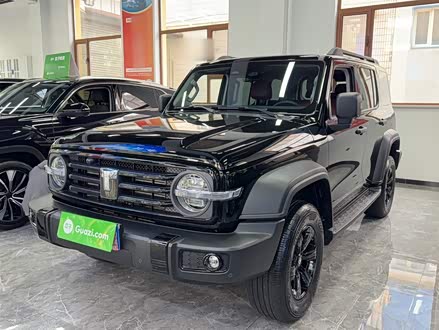 ֶ̹ ̹300 2024 2.0T 