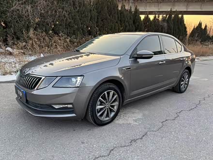 J 2019 TSI230 DSGm V