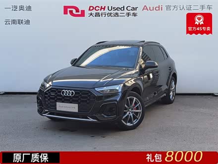 ȫ�����ְµ�Q5L 2024�� 40 TFSI ����������
