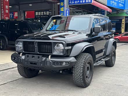 ̹��300 2023�� 2.0T �F�T02