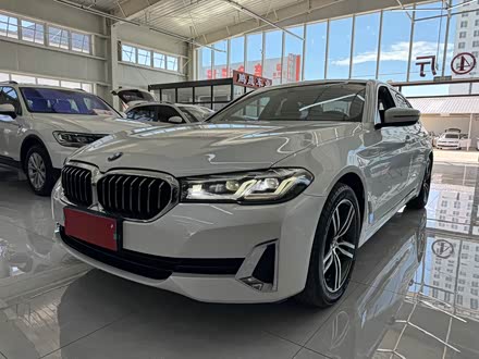 ֱ 5ϵ 2021 530Li xDrive װ