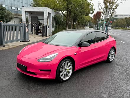 Ͼ˹ Model 3 2019 ׼