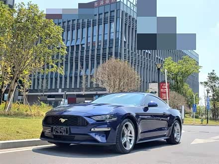 Mustang 2019款 2.3L EcoBoost 性能加强版