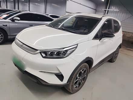 ԪPro 2023�� 401KM�����