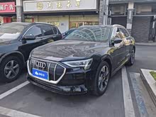 We-tron(M(jn)) 2019 55 quattro g(sh)