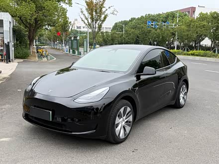 Ͼ˹ Model Y 2021 ׼