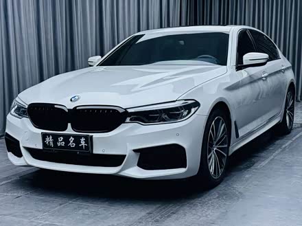 ֱ5ϵ 2020 530Li  M˶װ
