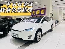 Model X 2019款 長續(xù)航版
