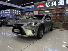 �׿��_˹NX 2018�� 300h ǰ�(q��) �h�а� ��V