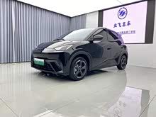 ���t 2023�� ���ɰ�