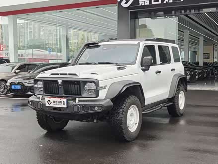 ̹300 2023 2.0T FT02