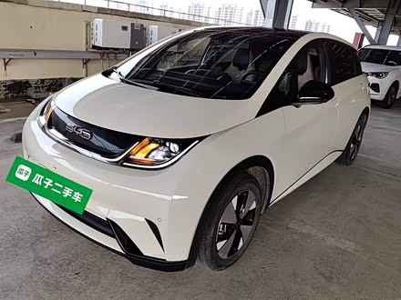 海豚 2023款 420km 时尚版