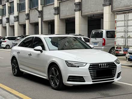 �żҽ���ְµ� �µ�A4L 2019�� 40 TFSI ��ȡ�� ��V