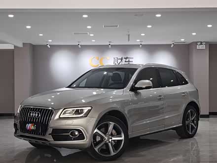 �µ�Q5(����) 2013�� 45 TFSI quattro �˶���