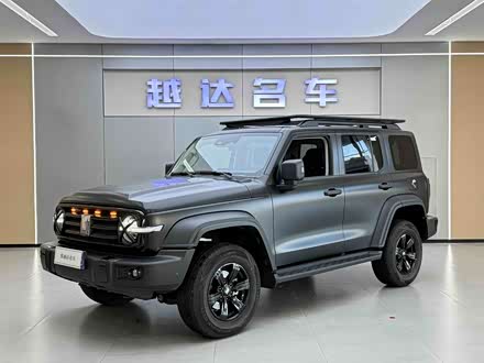 ֶ̹ ̹300 2025 2.0T 