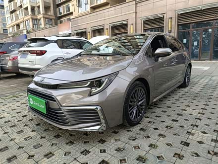 ȫ���������� 2021�� 2.0L ������