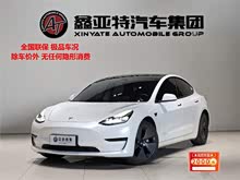 Model 3 2021 (bio)(zhn)m(x)(q) 3D6