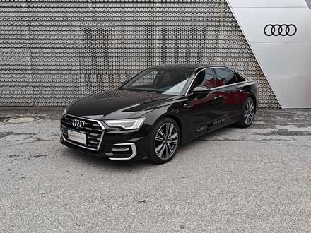 �򽭶��ְµ� �µ�A6L 2023�� 45 TFSI quattro ��ѡ������