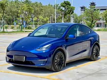 Model Y 2021 (bio)(zhn)m(x)(q)