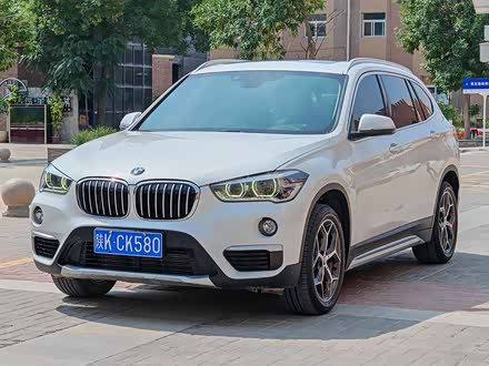 X1 2019 xDrive20Li 