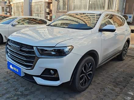 ����H6 2021�� ������ 1.5T �Զ����а�