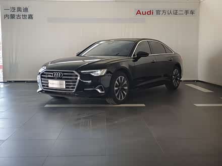 ���ͺ��ض��ְµ� �µ�A6L 2023�� 45 TFSI ��ѡ������