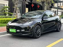 Model Y 2021 Performanceȫ݆(q)(dng)