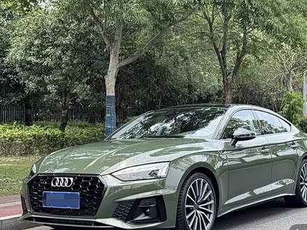 �Ĳ����ְµ� �µ�A5(����) 2024�� Sportback 40 TFSI ʱ�ж�����