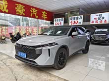 ������V 2021�� 260T �۶���