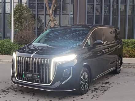 ��ɽ���ֺ��� ����HQ9 PHEV 2024�� 2.0T ���������