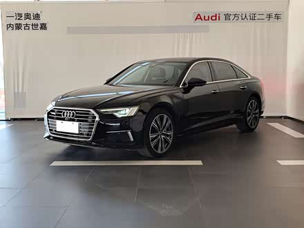 ���ͺ��ض��ְµ� �µ�A6L 2022�� 45 TFSI quattro ��ѡ������