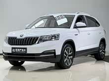 ׿ 2023 Ŀ 1.5L Ԅ