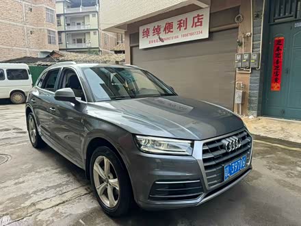 ��ɽ���ְµ� �µ�Q5L 2020�� 40 TFSI ����ʱ����