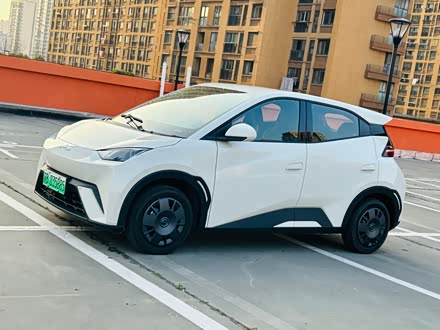 ֱǵ Ÿ 2025 305km 