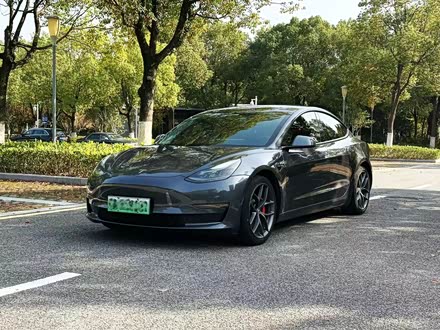 Ͼ˹ Model 3 2021 Performanceȫ