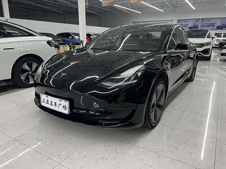 Model 3 2020款 标准续航后驱升级版