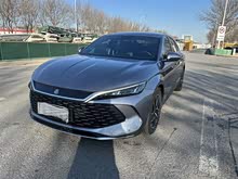 ��L 2024�� DM-i 80KM��Խ��