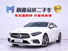 ���YCLS 2020�� CLS 300 �Ӹ���