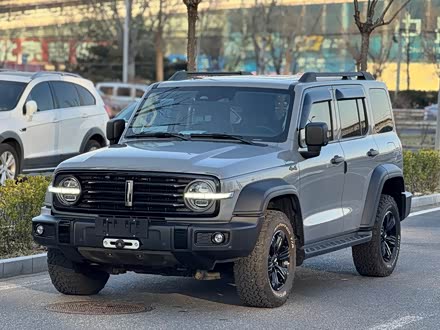 ��������̹��300 2021�� ԽҰ�� 2.0T ������