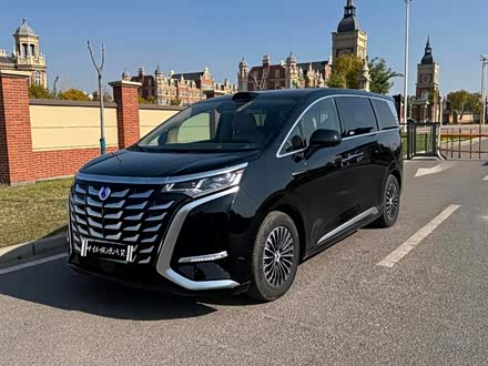 D9 2025 DM-i Ǽݰ 1020 